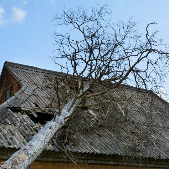 hurricane damage roof repair 